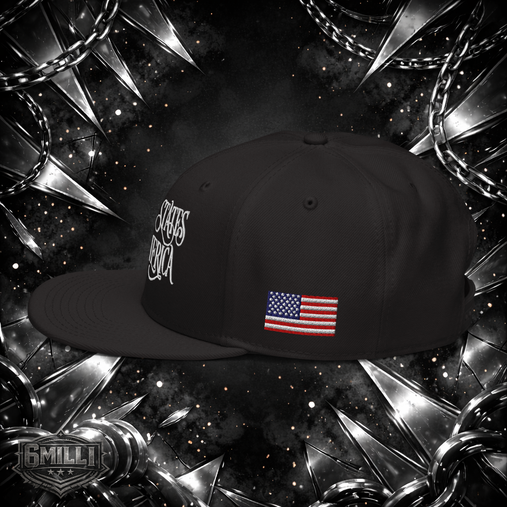 United States of America Snapback Hat