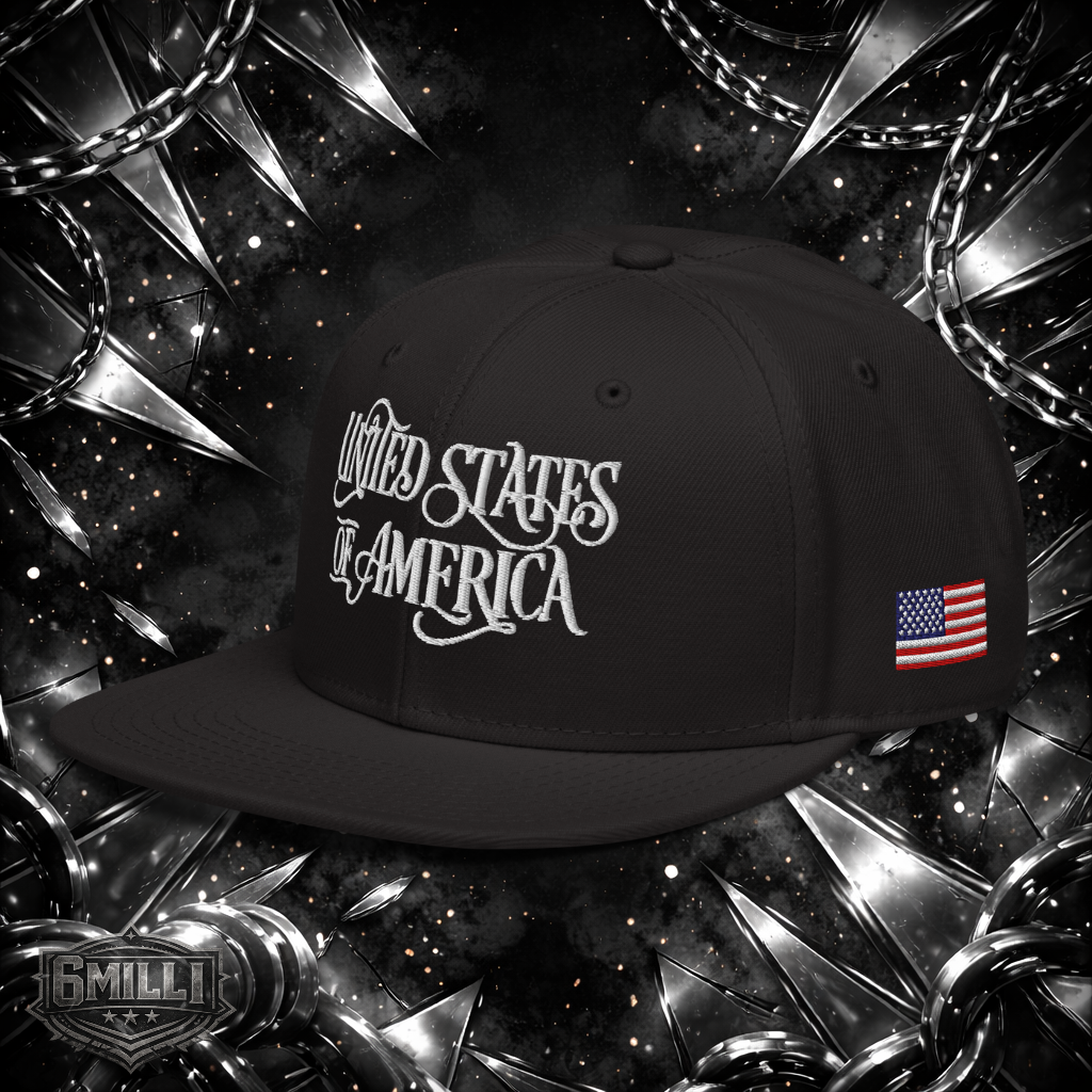 United States of America Snapback Hat