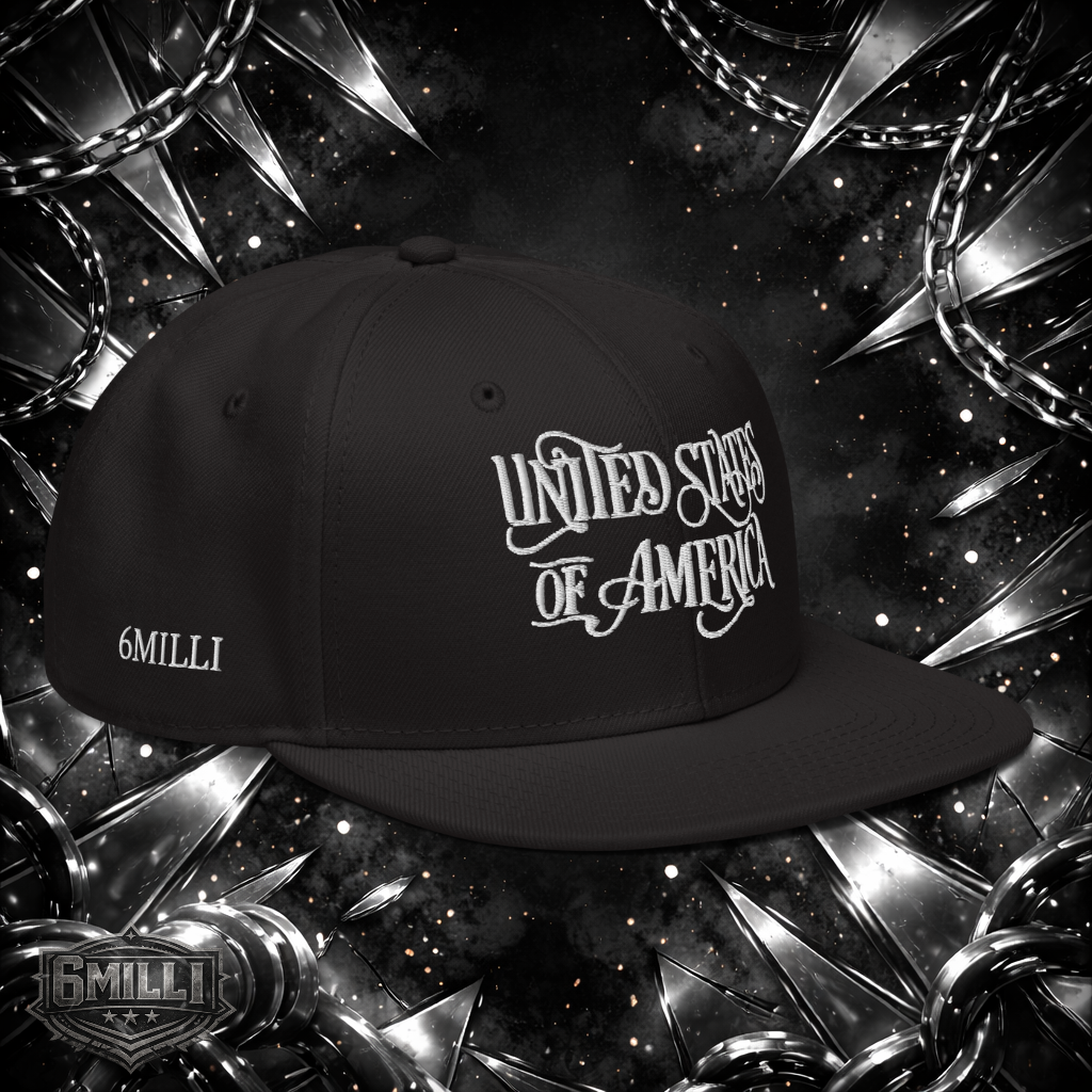 United States of America Snapback Hat