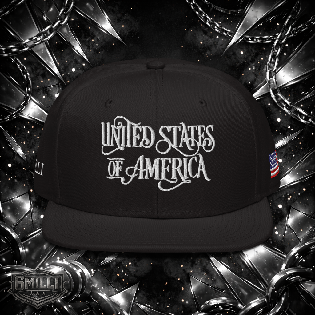United States of America Snapback Hat