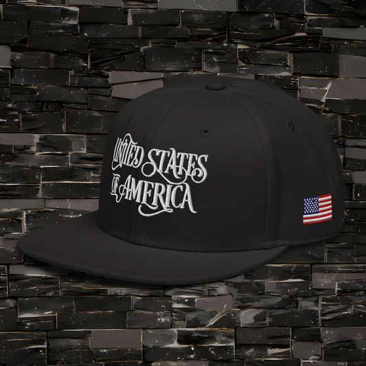 United States of America Snapback Hat